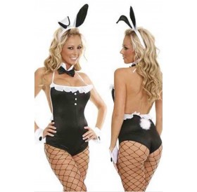 Sexy Bunny Costume